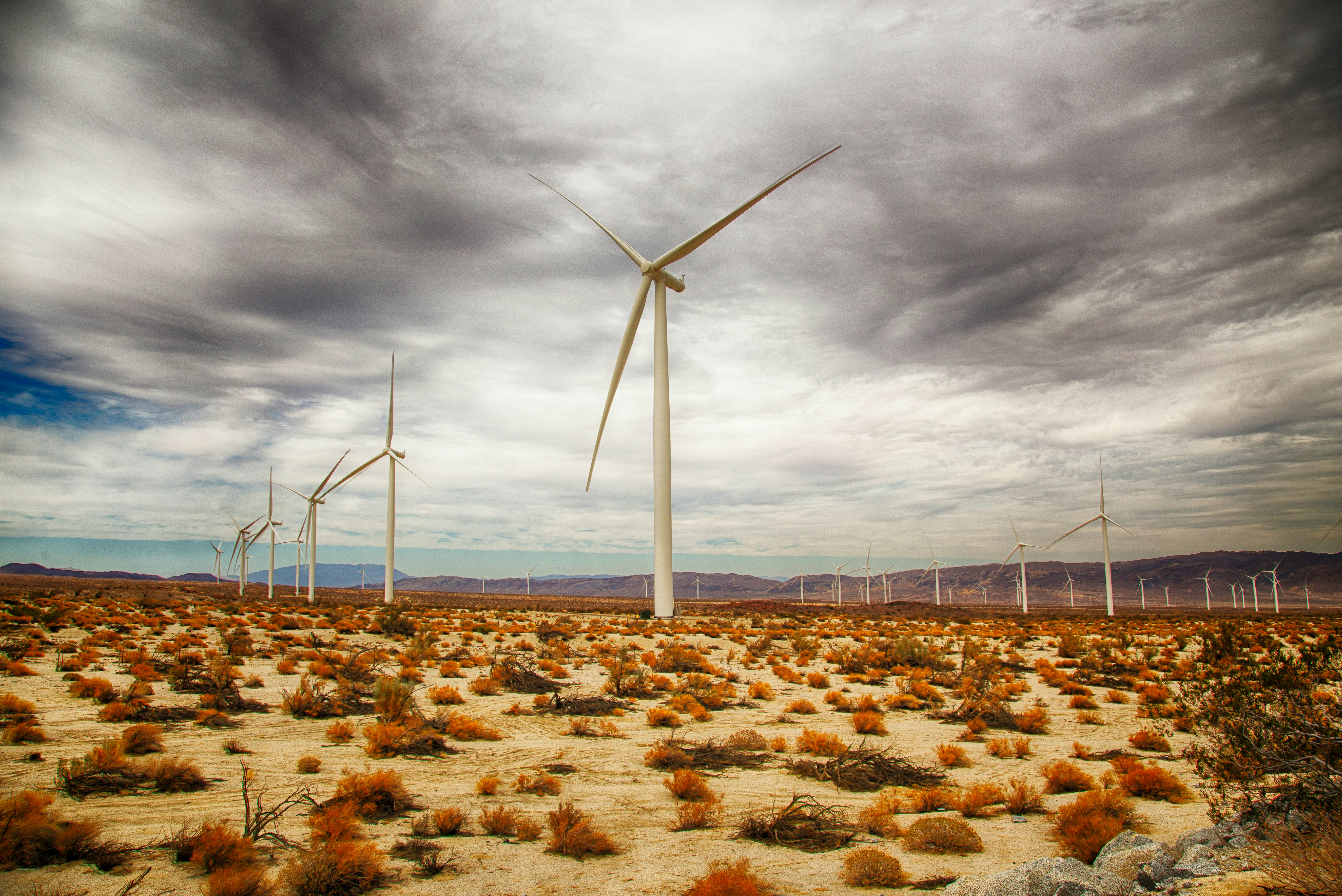 white wind mills